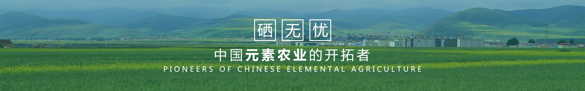 安徽硒無(wú)憂現(xiàn)代農(nóng)業(yè)科技有限公司