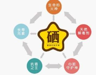 安徽省硒元素科學研究會將主辦“中國保健營養(yǎng)即硒元素產(chǎn)品博覽會”