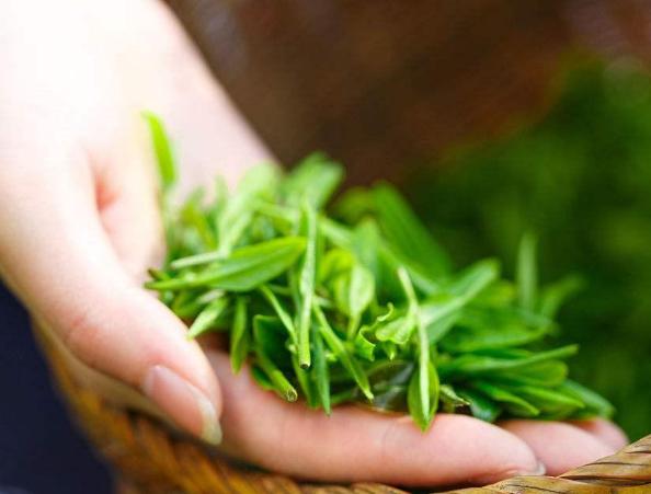 富硒茶葉,有機(jī)硒肥
