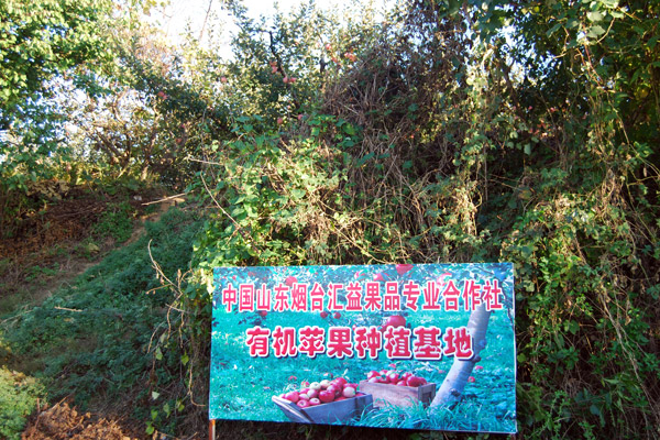 山東煙臺富硒蘋果的硒含量是多少